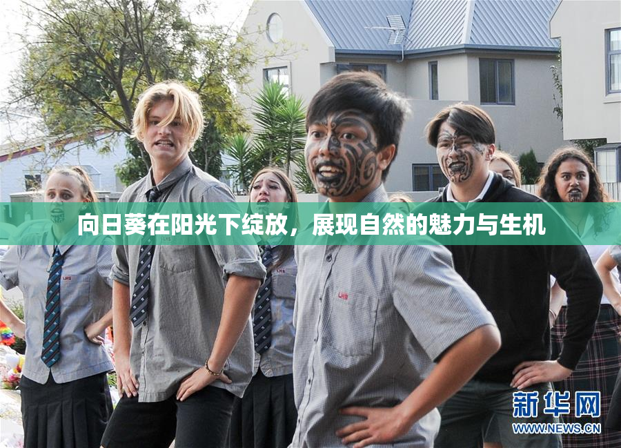 向日葵在阳光下绽放，展现自然的魅力与生机