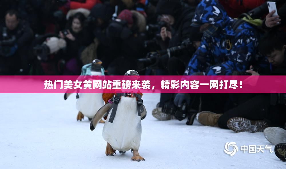 热门美女黄网站重磅来袭，精彩内容一网打尽！