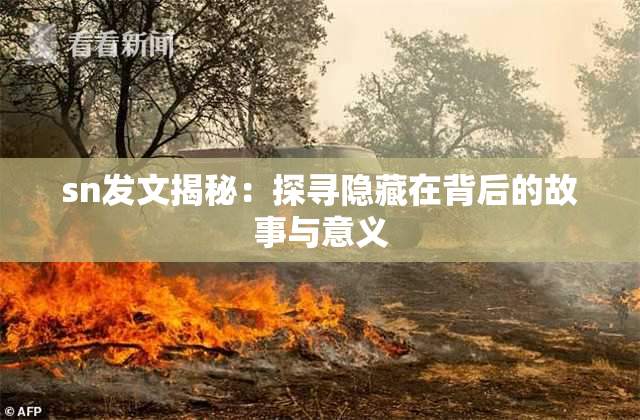 sn发文揭秘：探寻隐藏在背后的故事与意义