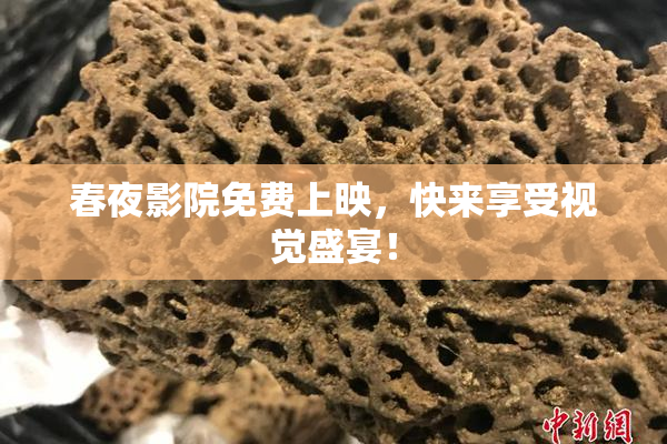 春夜影院免费上映，快来享受视觉盛宴！