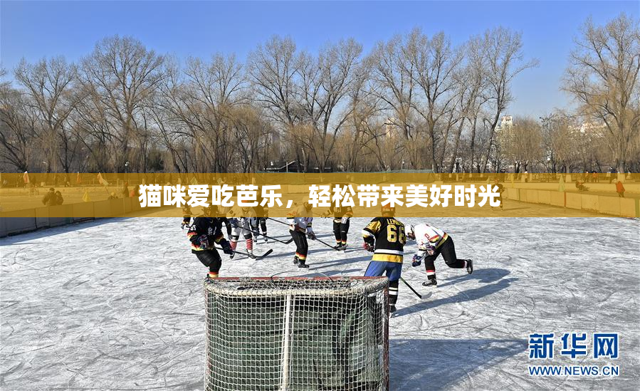 猫咪爱吃芭乐，轻松带来美好时光