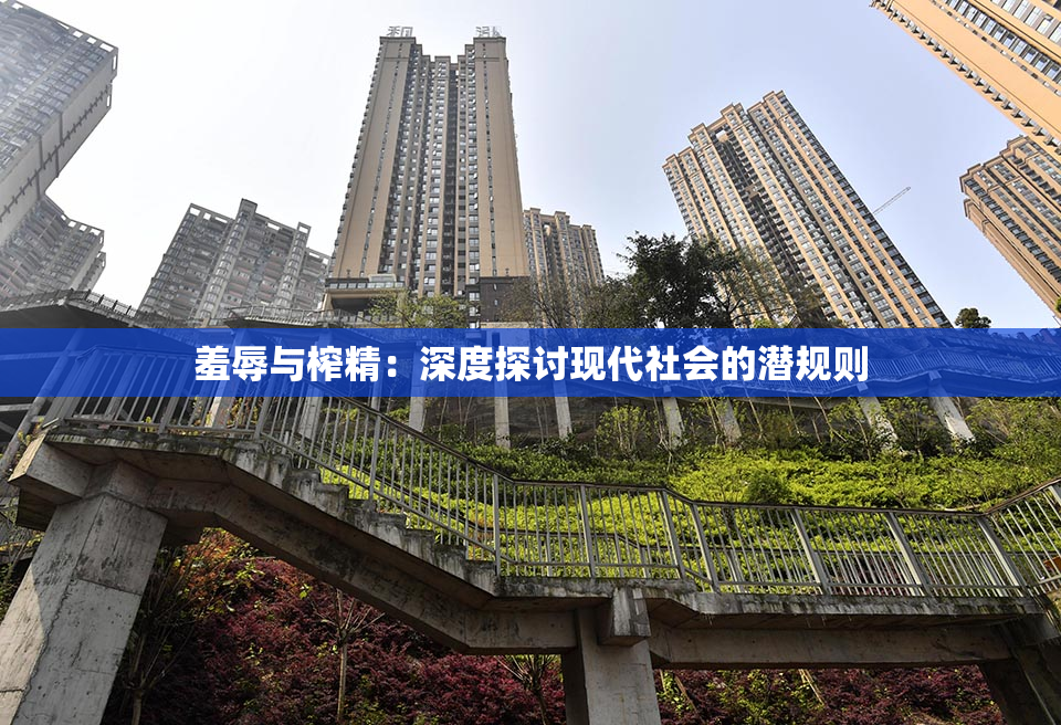 羞辱与榨精：深度探讨现代社会的潜规则