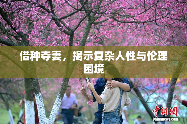 借种夺妻，揭示复杂人性与伦理困境