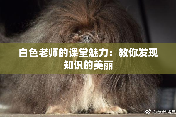白色老师的课堂魅力：教你发现知识的美丽