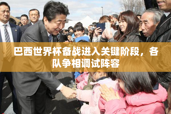 巴西世界杯备战进入关键阶段，各队争相调试阵容