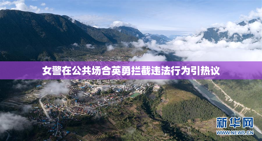 女警在公共场合英勇拦截违法行为引热议
