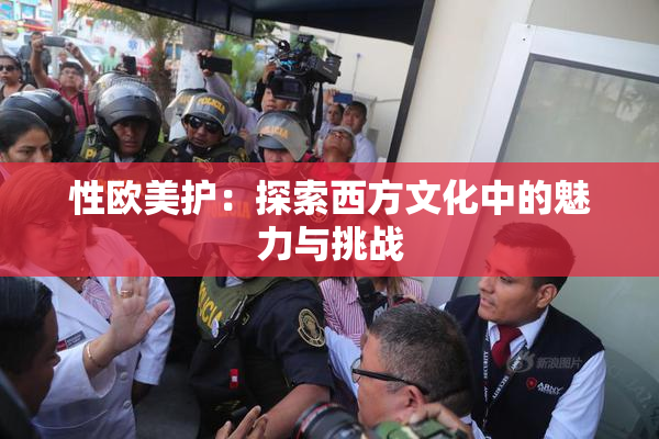 性欧美护：探索西方文化中的魅力与挑战