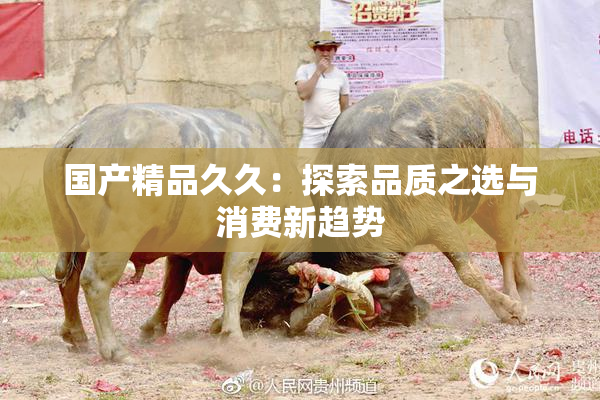 国产精品久久：探索品质之选与消费新趋势