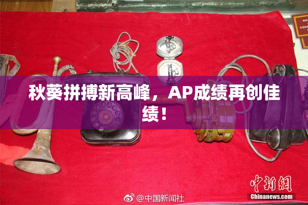 秋葵拼搏新高峰，AP成绩再创佳绩！