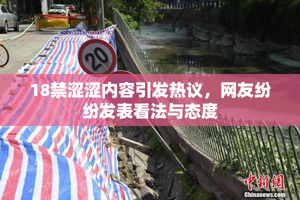 18禁涩涩内容引发热议，网友纷纷发表看法与态度