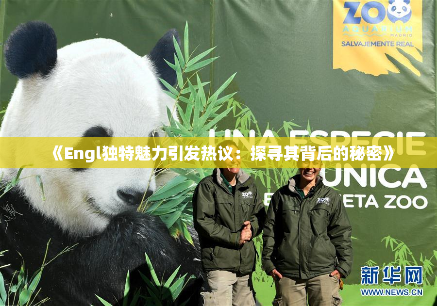 《Engl独特魅力引发热议：探寻其背后的秘密》
