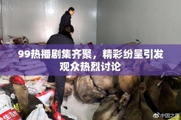 99热播剧集齐聚，精彩纷呈引发观众热烈讨论