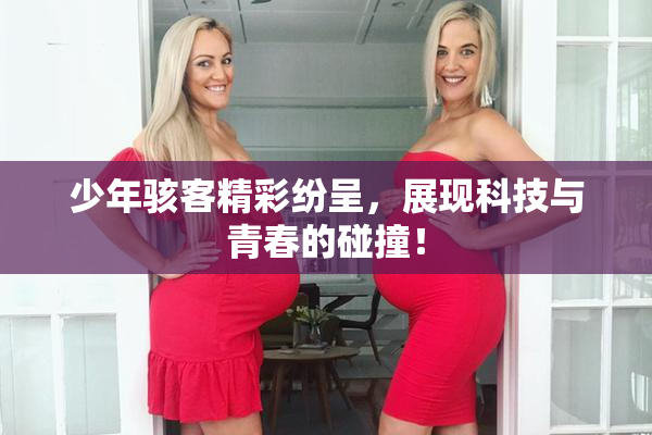 少年骇客精彩纷呈，展现科技与青春的碰撞！