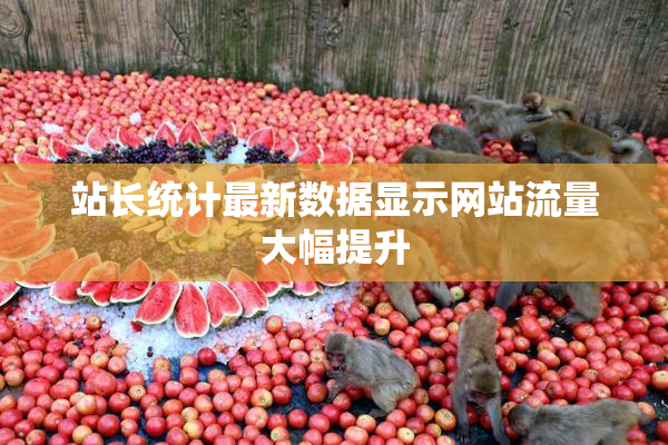 站长统计最新数据显示网站流量大幅提升