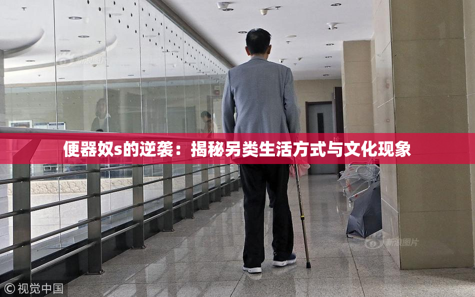 便器奴s的逆袭：揭秘另类生活方式与文化现象