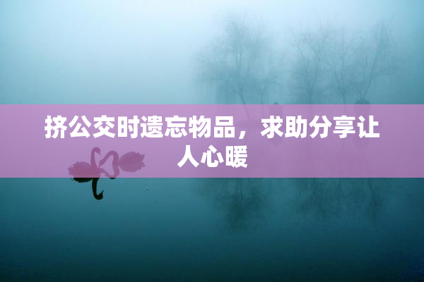 挤公交时遗忘物品，求助分享让人心暖