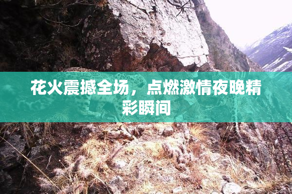 花火震撼全场，点燃激情夜晚精彩瞬间