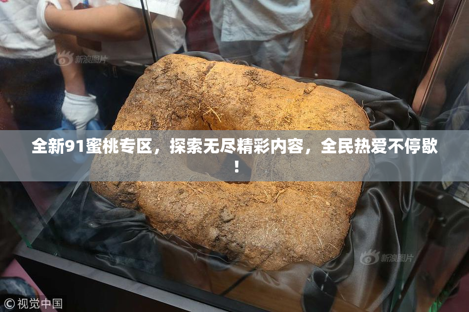 全新91蜜桃专区，探索无尽精彩内容，全民热爱不停歇！