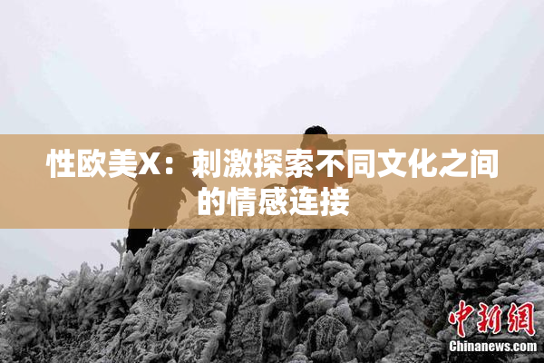 性欧美X：刺激探索不同文化之间的情感连接