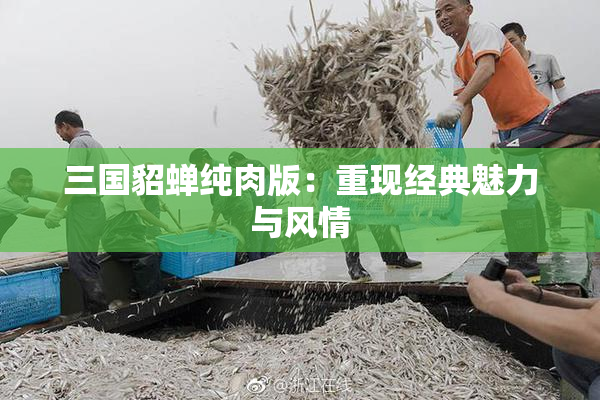 三国貂蝉纯肉版：重现经典魅力与风情