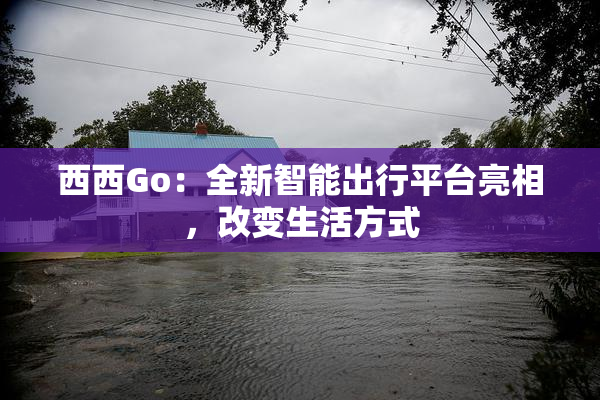 西西Go：全新智能出行平台亮相，改变生活方式
