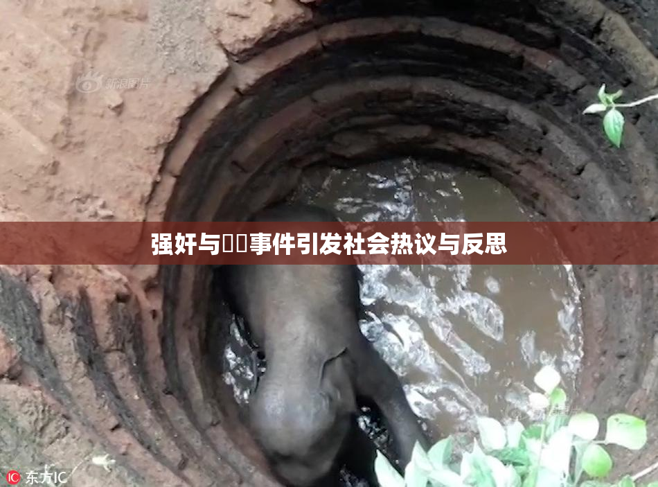 强奸与亂倫事件引发社会热议与反思