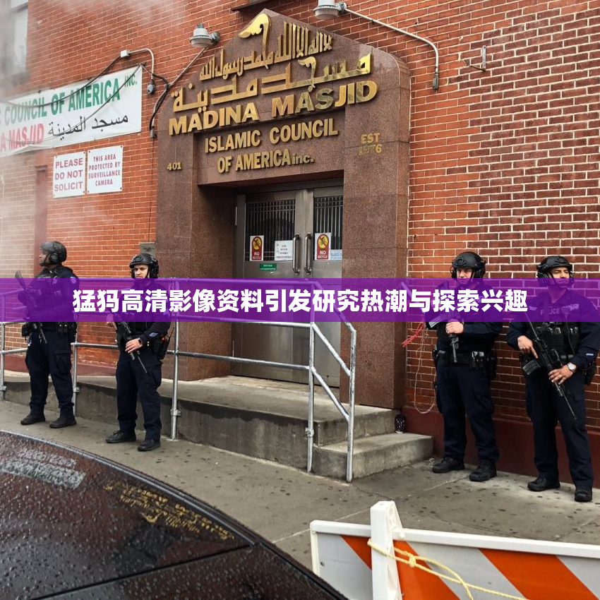 猛犸高清影像资料引发研究热潮与探索兴趣