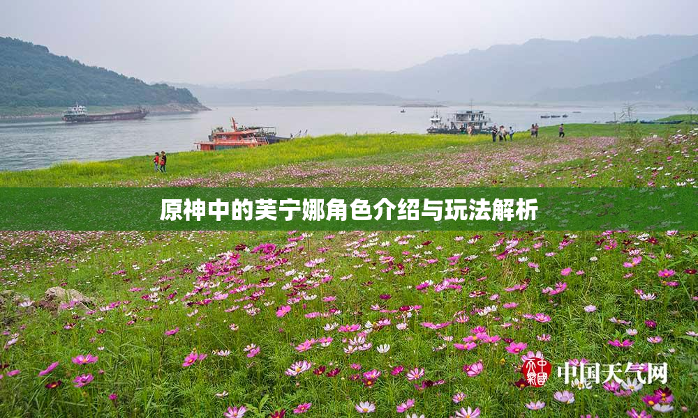 原神中的芙宁娜角色介绍与玩法解析