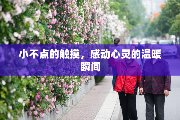 小不点的触摸，感动心灵的温暖瞬间