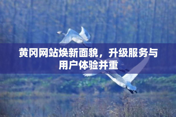 黄冈网站焕新面貌，升级服务与用户体验并重