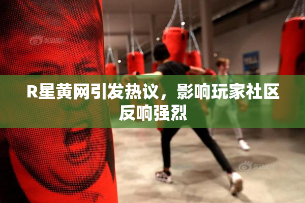 R星黄网引发热议，影响玩家社区反响强烈