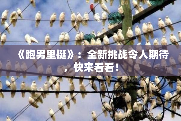 《跑男里挺》：全新挑战令人期待，快来看看！