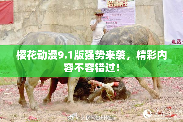 樱花动漫9.1版强势来袭，精彩内容不容错过！