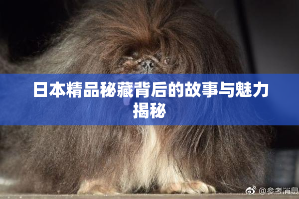 日本精品秘藏背后的故事与魅力揭秘