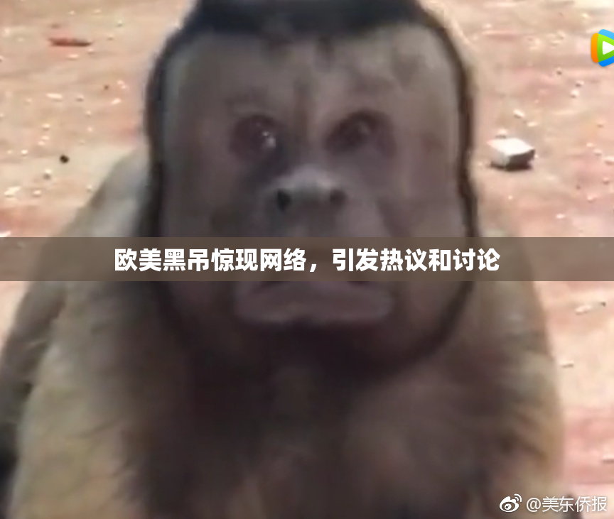 欧美黑吊惊现网络，引发热议和讨论