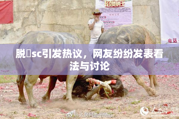 脱糞sc引发热议，网友纷纷发表看法与讨论