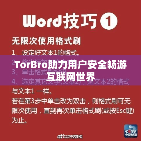 TorBro助力用户安全畅游互联网世界