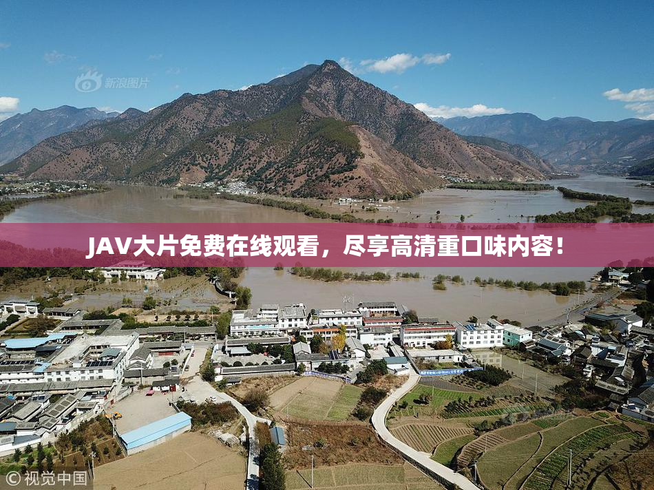 JAV大片免费在线观看，尽享高清重口味内容！