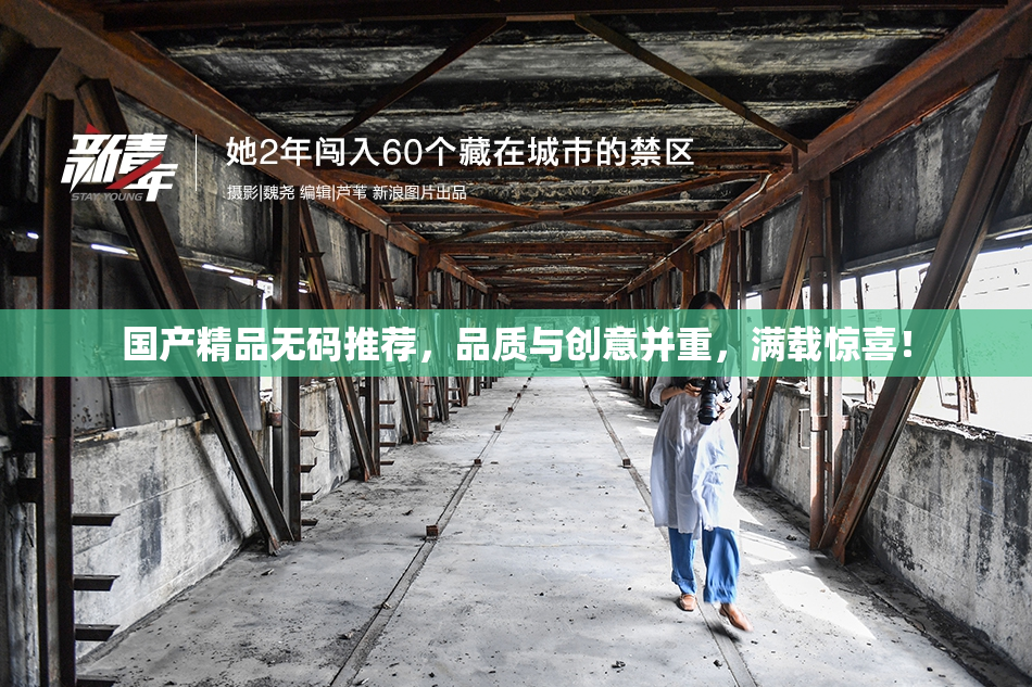 国产精品无码推荐，品质与创意并重，满载惊喜！