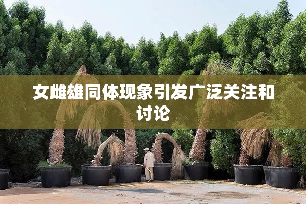 女雌雄同体现象引发广泛关注和讨论
