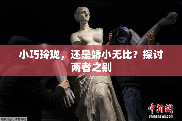 小巧玲珑，还是娇小无比？探讨两者之别