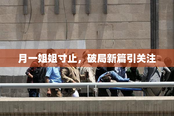 月一姐姐寸止，破局新篇引关注