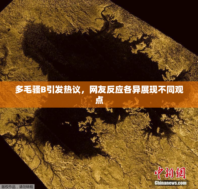 多毛骚B引发热议，网友反应各异展现不同观点
