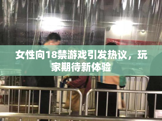 女性向18禁游戏引发热议，玩家期待新体验