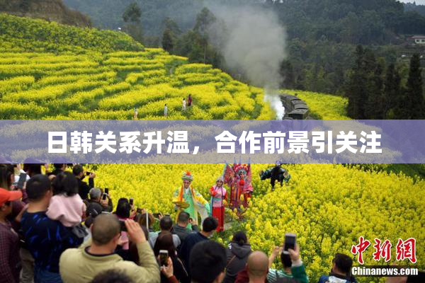 日韩关系升温，合作前景引关注