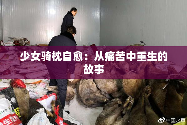 少女骑枕自愈：从痛苦中重生的故事