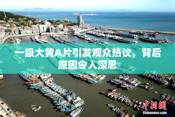 一级大黄A片引发观众热议，背后原因令人深思