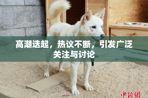 高潮迭起，热议不断，引发广泛关注与讨论