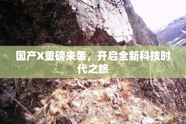 国产X重磅来袭，开启全新科技时代之旅