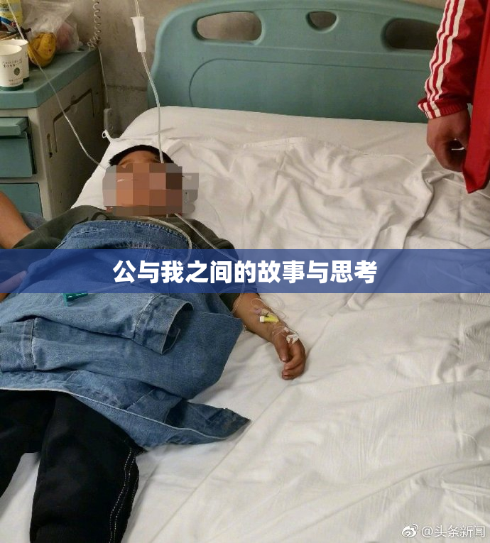 公与我之间的故事与思考